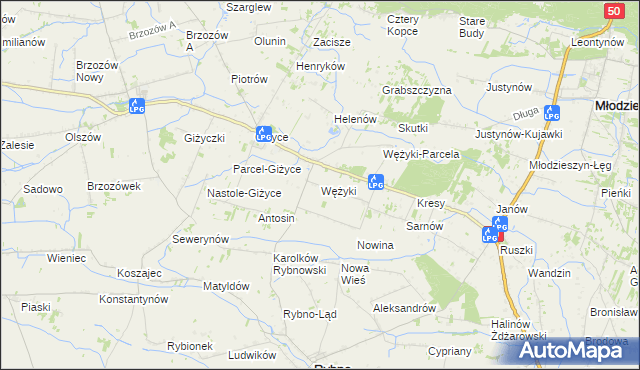 mapa Wężyki, Wężyki na mapie Targeo