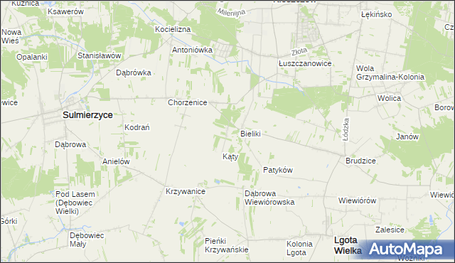 mapa Trzciniec gmina Sulmierzyce, Trzciniec gmina Sulmierzyce na mapie Targeo