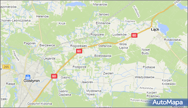 mapa Bolesławów gmina Gostynin, Bolesławów gmina Gostynin na mapie Targeo