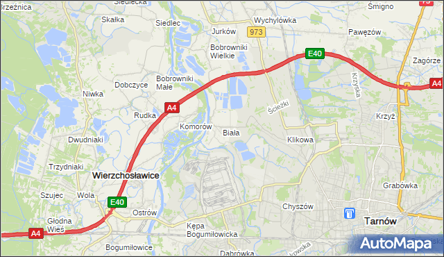 mapa Biała gmina Tarnów, Biała gmina Tarnów na mapie Targeo
