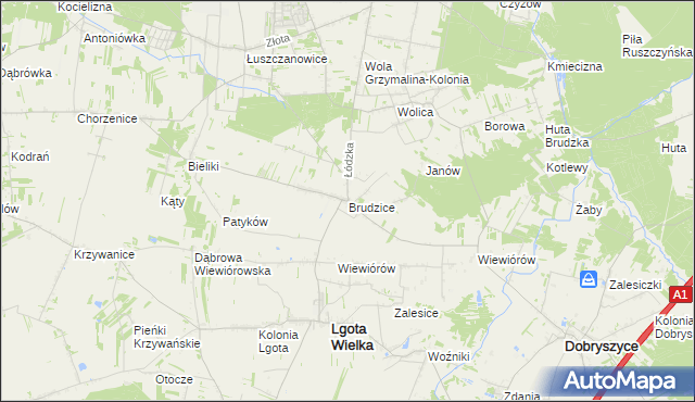 mapa Brudzice, Brudzice na mapie Targeo