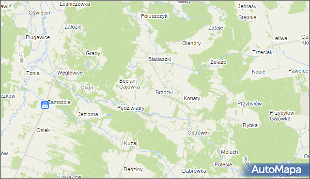 mapa Brzózki gmina Galewice, Brzózki gmina Galewice na mapie Targeo