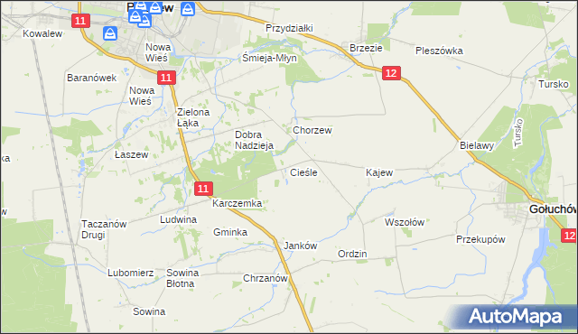 mapa Cieśle gmina Gołuchów, Cieśle gmina Gołuchów na mapie Targeo