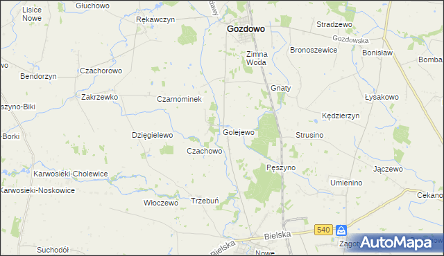 mapa Golejewo gmina Gozdowo, Golejewo gmina Gozdowo na mapie Targeo