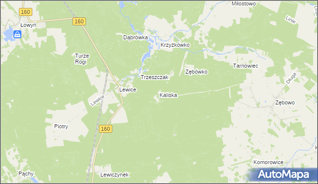 mapa Kaliska gmina Międzychód, Kaliska gmina Międzychód na mapie Targeo