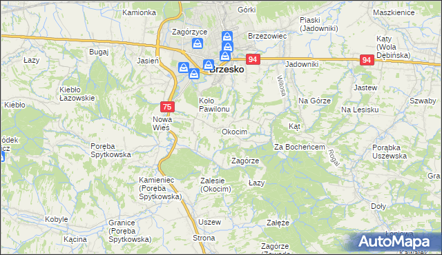 mapa Okocim, Okocim na mapie Targeo