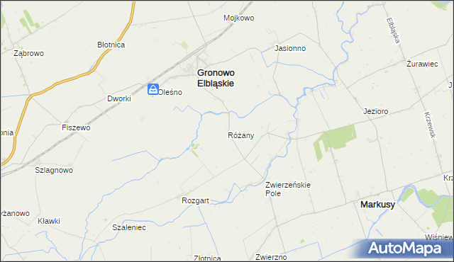 mapa Różany gmina Gronowo Elbląskie, Różany gmina Gronowo Elbląskie na mapie Targeo