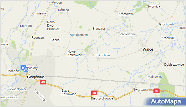 mapa Rozkochów gmina Walce, Rozkochów gmina Walce na mapie Targeo