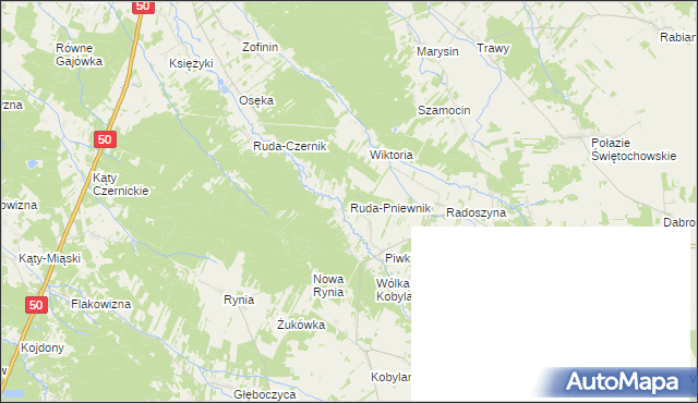 mapa Ruda-Pniewnik, Ruda-Pniewnik na mapie Targeo