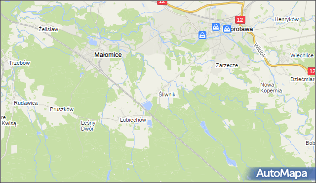 mapa Śliwnik, Śliwnik na mapie Targeo