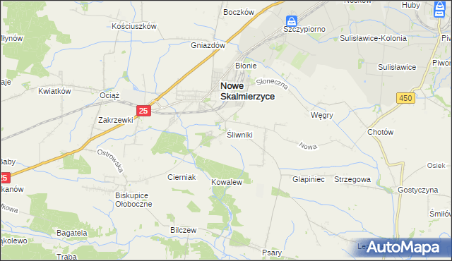 mapa Śliwniki gmina Nowe Skalmierzyce, Śliwniki gmina Nowe Skalmierzyce na mapie Targeo