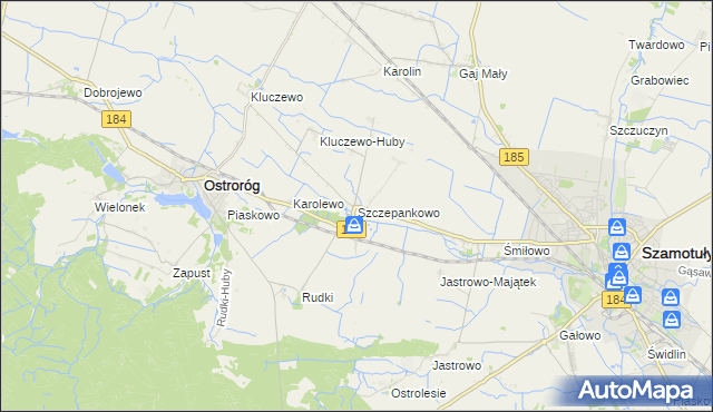 mapa Szczepankowo gmina Ostroróg, Szczepankowo gmina Ostroróg na mapie Targeo