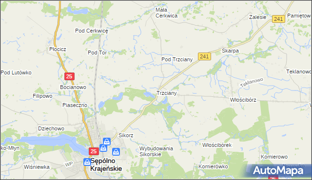 mapa Trzciany gmina Sępólno Krajeńskie, Trzciany gmina Sępólno Krajeńskie na mapie Targeo