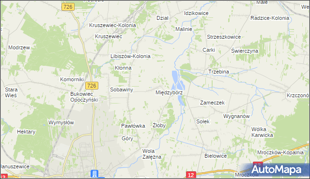 mapa Międzybórz gmina Opoczno, Międzybórz gmina Opoczno na mapie Targeo