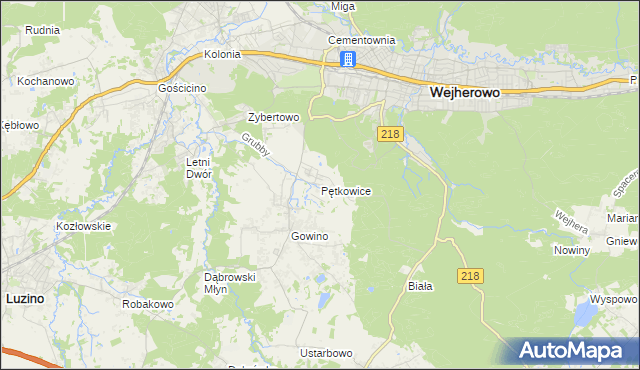 mapa Pętkowice gmina Wejherowo, Pętkowice gmina Wejherowo na mapie Targeo