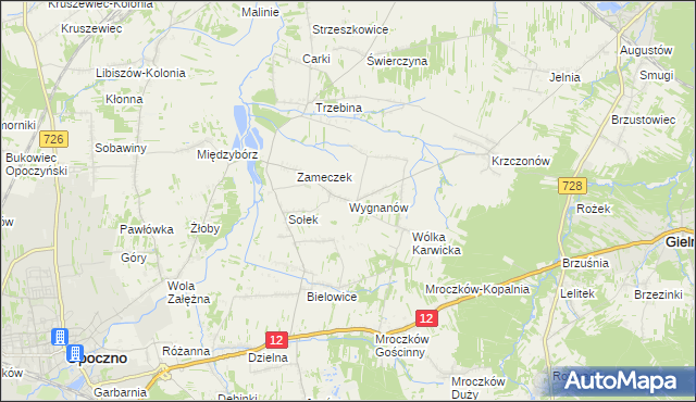 mapa Wygnanów gmina Opoczno, Wygnanów gmina Opoczno na mapie Targeo