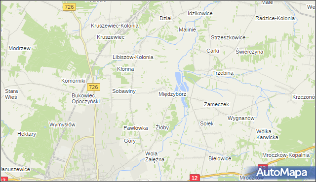 mapa Międzybórz gmina Opoczno, Międzybórz gmina Opoczno na mapie Targeo