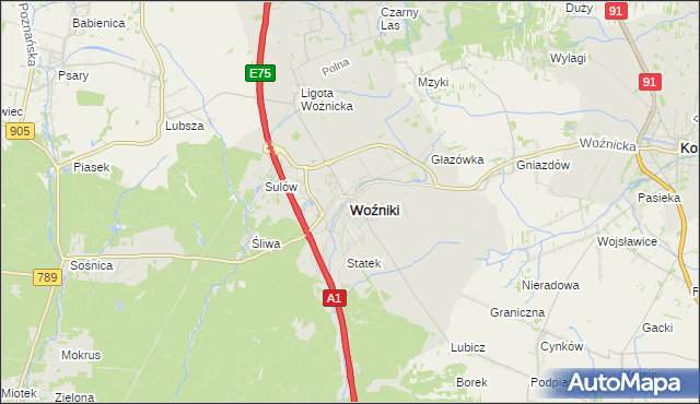 mapa Woźniki powiat lubliniecki, Woźniki powiat lubliniecki na mapie Targeo