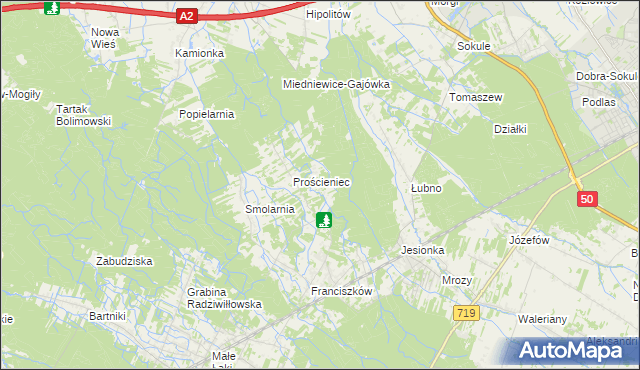 mapa Antoniew gmina Wiskitki, Antoniew gmina Wiskitki na mapie Targeo
