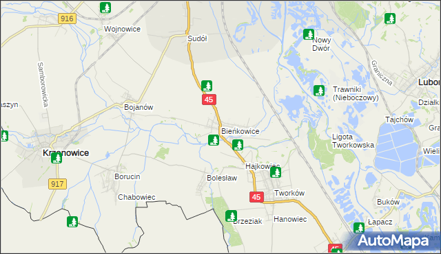 mapa Bieńkowice gmina Krzyżanowice, Bieńkowice gmina Krzyżanowice na mapie Targeo