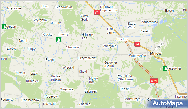 mapa Borki gmina Mniów, Borki gmina Mniów na mapie Targeo