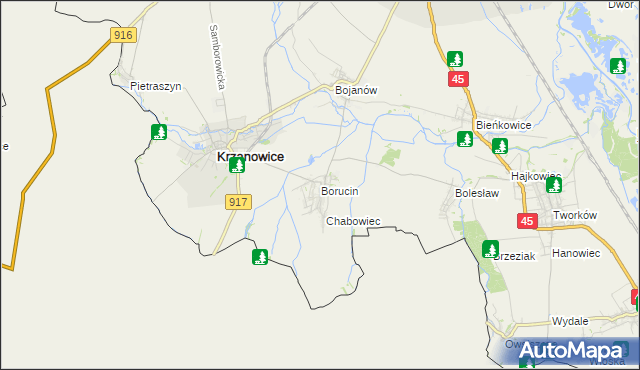 mapa Borucin gmina Krzanowice, Borucin gmina Krzanowice na mapie Targeo