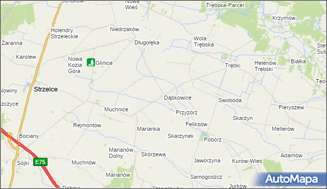 mapa Dąbkowice gmina Strzelce, Dąbkowice gmina Strzelce na mapie Targeo