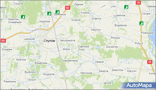 mapa Dąbrowa Duża gmina Chynów, Dąbrowa Duża gmina Chynów na mapie Targeo