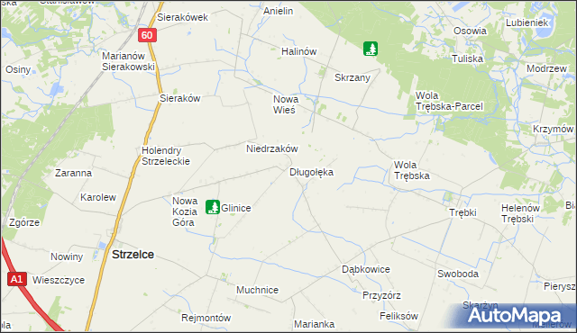 mapa Długołęka gmina Strzelce, Długołęka gmina Strzelce na mapie Targeo
