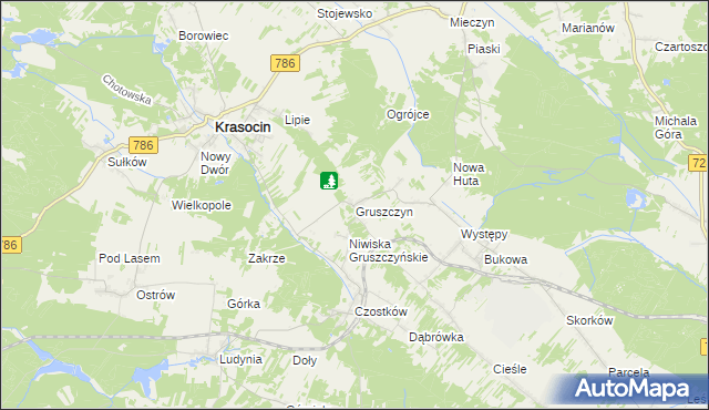 mapa Gruszczyn gmina Krasocin, Gruszczyn gmina Krasocin na mapie Targeo