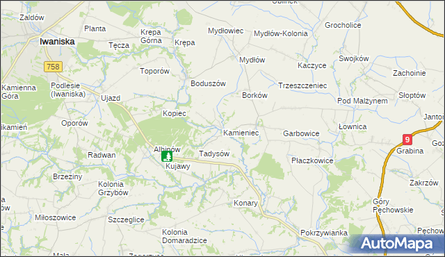 mapa Kamieniec gmina Iwaniska, Kamieniec gmina Iwaniska na mapie Targeo