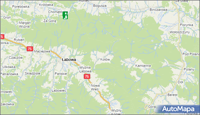 mapa Kotów gmina Łabowa, Kotów gmina Łabowa na mapie Targeo