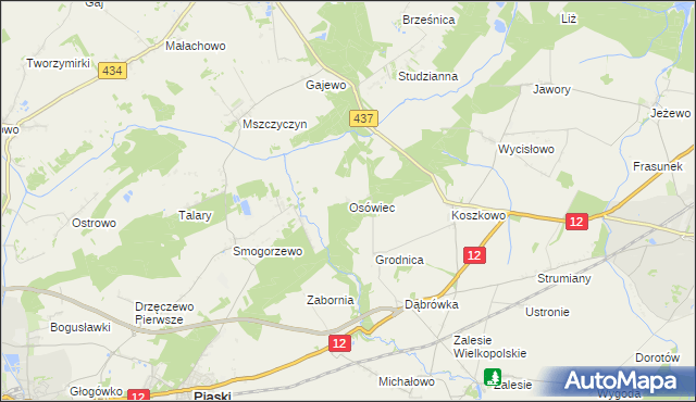 mapa Osówiec gmina Borek Wielkopolski, Osówiec gmina Borek Wielkopolski na mapie Targeo