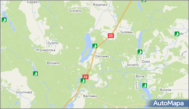 mapa Ostrowiec gmina Dębno, Ostrowiec gmina Dębno na mapie Targeo