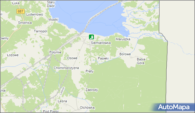 mapa Pasieki gmina Narewka, Pasieki gmina Narewka na mapie Targeo