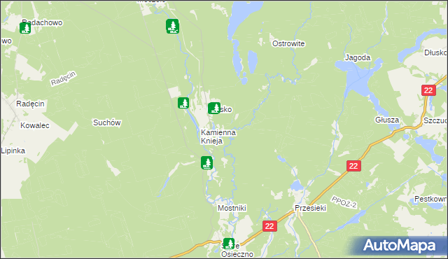 mapa Podszkle gmina Dobiegniew, Podszkle gmina Dobiegniew na mapie Targeo