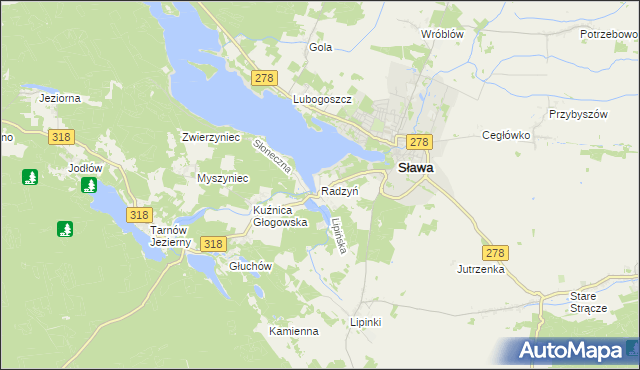 mapa Radzyń gmina Sława, Radzyń gmina Sława na mapie Targeo