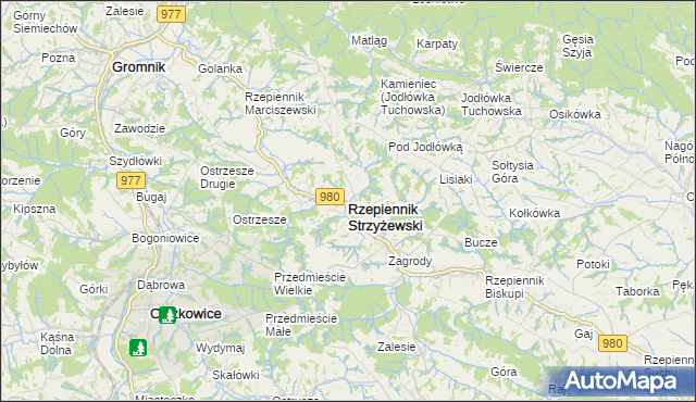 mapa Rzepiennik Strzyżewski, Rzepiennik Strzyżewski na mapie Targeo