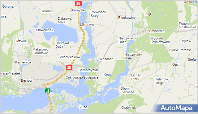 mapa Wąsosze gmina Ślesin, Wąsosze gmina Ślesin na mapie Targeo