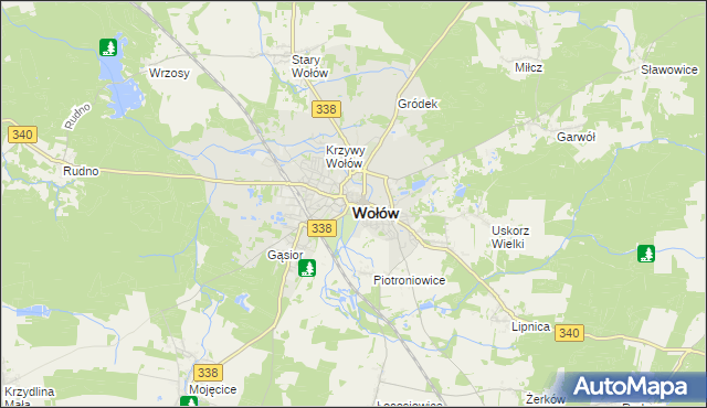 mapa Wołów, Wołów na mapie Targeo