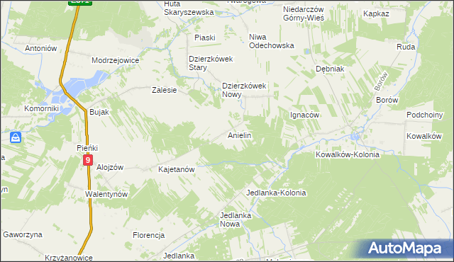 mapa Anielin gmina Skaryszew, Anielin gmina Skaryszew na mapie Targeo