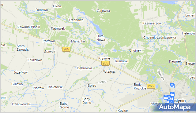 mapa Krzywie gmina Gostynin, Krzywie gmina Gostynin na mapie Targeo