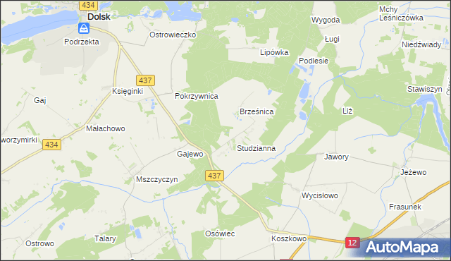 mapa Orliniec gmina Dolsk, Orliniec gmina Dolsk na mapie Targeo