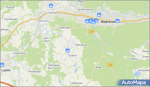 mapa Pętkowice gmina Wejherowo, Pętkowice gmina Wejherowo na mapie Targeo