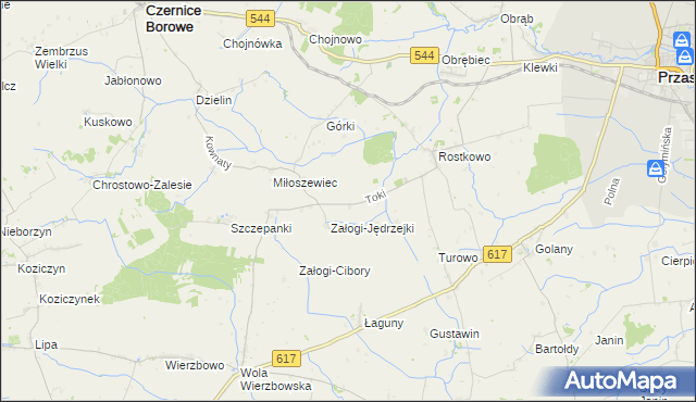 mapa Toki gmina Czernice Borowe, Toki gmina Czernice Borowe na mapie Targeo