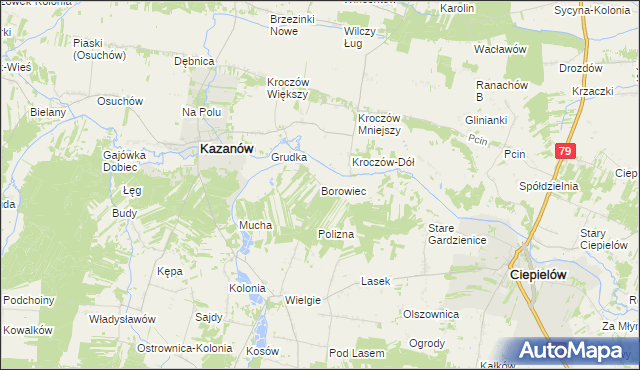 mapa Borowiec gmina Ciepielów, Borowiec gmina Ciepielów na mapie Targeo