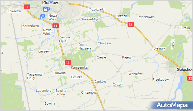 mapa Cieśle gmina Gołuchów, Cieśle gmina Gołuchów na mapie Targeo