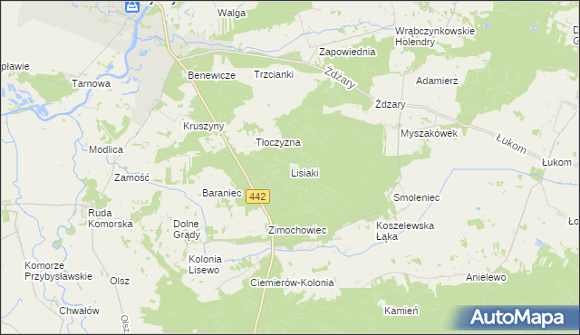 mapa Lisiaki gmina Pyzdry, Lisiaki gmina Pyzdry na mapie Targeo