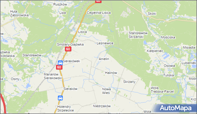 mapa Anielin gmina Gostynin, Anielin gmina Gostynin na mapie Targeo