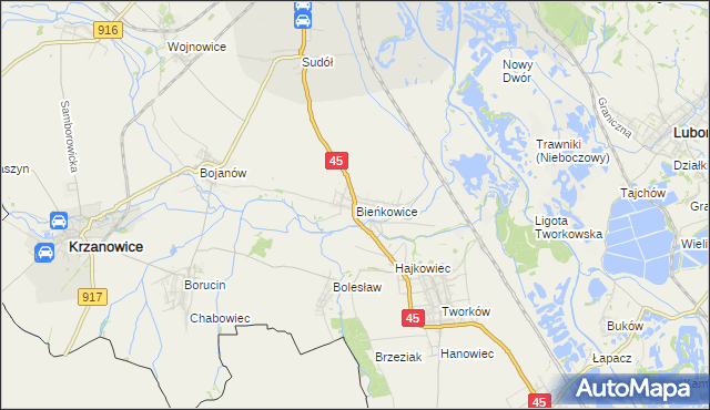 mapa Bieńkowice gmina Krzyżanowice, Bieńkowice gmina Krzyżanowice na mapie Targeo